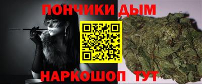 гидра Пенза