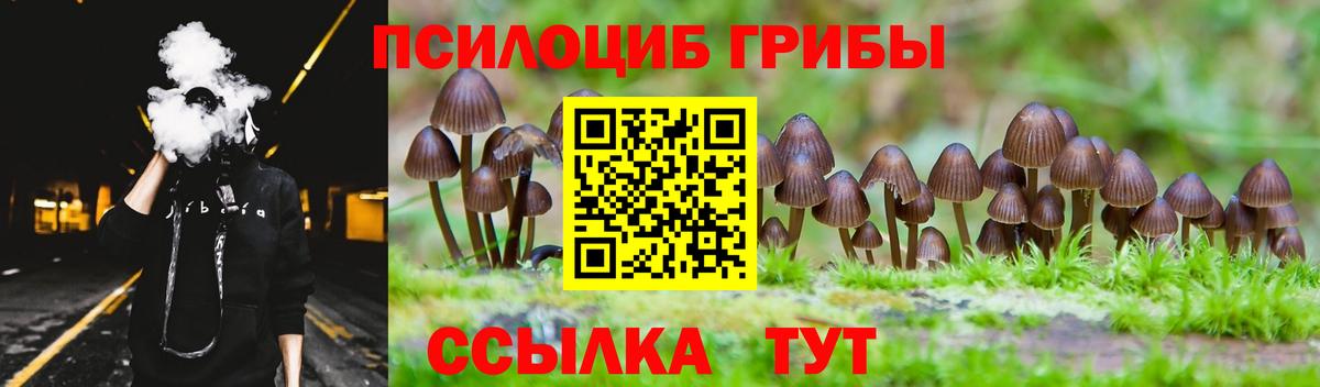 Галлюциногенные грибы Magic Shrooms Скопин